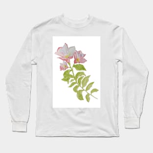 The branch flowering pink wild flower, isolated on white background. Long Sleeve T-Shirt